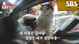 [예고] 복권 당첨의 행운을 가져다준다는🍀특별한 복권방 마스코트 야웅이 이야기 | TV 동물농장 | SBS | ZUM TV