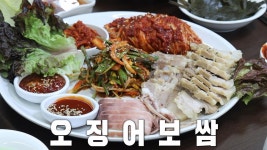 오징어×고기×김치의 조화가 완벽한 ‘오징어 보쌈’ | ZUM TV