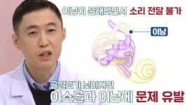 청력 저하, 칼슘 흡수 저하 신호! (닥터필생기) | ZUM TV