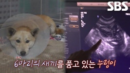 맛 집의 패기, 촬영하려는 취재진에 ＂내쫓아야겠어!＂ | ZUM TV