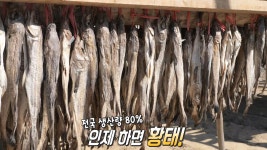 인제의 명물! 설악산 골짜기 바람 맞고 자란 ‘용대리 황태’ | ZUM TV