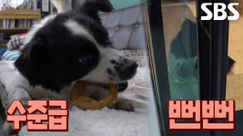 겉은 창고, 속은 궁전? 파주 반전 식당! | ZUM TV