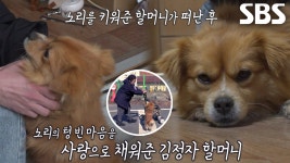 ‘껌딱지’ 노리, 주인 아닌 할머니 따랐던 이유 | ZUM TV