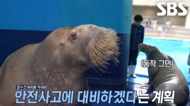 눈치 백단 ‘메리’와 벌이는 격리 사투 시작↗ | ZUM TV