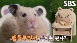 파워풀한 식탐 자랑하는 햄플루언서 ‘한별이’ | ZUM TV