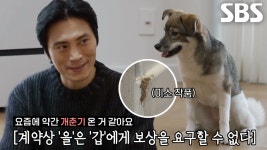 개춘기 온 견생 7개월 차 똥개 ‘미소’ 근황 대공개↗ | ZUM TV