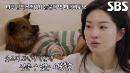 전진×류이서 부부, 갑작스러운 만세 입양 소식에 보이는 눈물↘ | ZUM TV