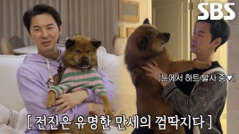 ‘만세 껌딱지’ 전진, 더 가까워진 똥개 만세와 함께하는 생활♥ | ZUM TV
