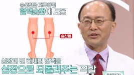혈관 건강 위한 방법, ‘승산혈 지압’ (닥터필생기) | ZUM TV