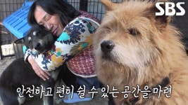 가족 기다리는 장군이×시루 위한 도움의 손길! | ZUM TV