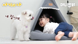 아기랑 강아지가 한집에 있어~(근데 이제 집을 뺏긴ㅋㅋ)ㅣA Baby And A Dog Is In The Same House (But Its Stolen... LOL) | ZUM TV