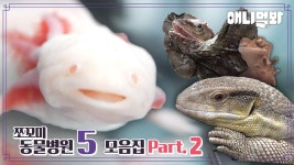 [쪼꼬미 동물병원5] 내원 환자 모음집 Part. 2ㅣ[Animal Hospital for Tiny Animals 5] Compilation of Patients Part.2 | ZUM TV