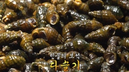 맑은 강의 보물! 동강 1급수에서 자란 영월 다슬기★ | ZUM TV