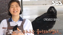 민숙 씨 바라기 까순이의 육아 일상 밀착 공개★ | ZUM TV