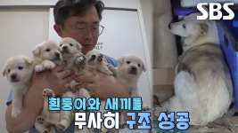 위험한 폐가 속 흰둥이네 구출 대작전 시작※ | ZUM TV