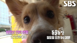 [9월 21일 예고] 미용실 1년 차 보리의 인턴생활★ | ZUM TV