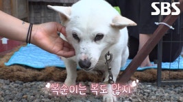복순이 집 리모델링 위한 복순이의 대가족 총출동! | ZUM TV