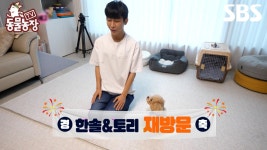 [예고] 동물농장에 재방문한 한솔과 천재견 토리🐶 끝없는 난관을 이겨내고 출전한 어질리티 대회?! | TV 동물농장 | SBS | ZUM TV