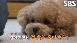 후진 차량과 추돌한 제보자, 과연 과실비율은? | ZUM TV