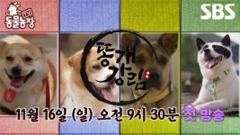 [티저] 승리의 기운을 주러 강림했다!✨ 절대 강자 T1X정혁 앞에 나타난 똥개들?!🦴 | TV 동물농장 | SBS | ZUM TV