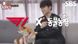 [티저] 최강 T1과 TV동물농장 레전드 콜라보🔥 승리의 기운을 품은 똥개 룽지와 만나다?! | TV 동물농장 | SBS | ZUM TV