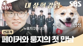 [선공개] 페이커와 룽지의 달달한 첫 만남🐶♥️ 하지만 차갑게 돌변한 룽지에 당황한 페이커?! | TV 동물농장 | SBS | ZUM TV