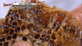 산삼보다 귀한 숙성 된 목청! | ZUM TV
