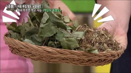 약산도의 약초들을 먹고 사는 흑염소 과연 어떤 약초를? | ZUM TV