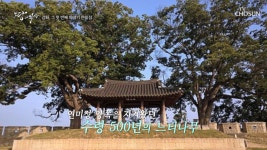 고려와 조선의 영예과 치욕이 담긴 연미정.. TV CHOSUN 211228 방송 | ZUM TV