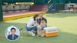 동물진료법인이지웰 | 이지안과 반려동물들의 좌충우돌 펫 티켓 수업☺ TV CHOSUN 220705 방송 | ZUM TV