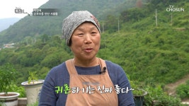 귀촌 1번지 구기마을 사람들 TV CHOSUN 220708 방송 | ZUM TV 귀촌 1번지 구기마을 사람들  TV CHOSUN 220708 방송 | ZUM TV