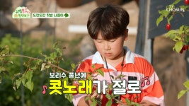 텃밭 체험과 보리수 수확에 시간 가는지 모르는 뽕짝 원정대🥰 TV CHOSUN 230630 방송 | ZUM TV