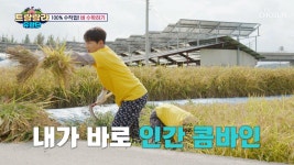 이 드넓은 논을🌾 수작업으로?!🤯 농부의 아들 🔥낫상도 출격🔥 TV CHOSUN 241018 방송 | ZUM TV