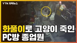 [자막뉴스] 여자 친구와 헤어져서 고양이 죽인 PC방 종업원 : 뉴스어라운드 - TV줌 [자막뉴스] 여자 친구와 헤어져서 고양이 죽인 PC방 종업원