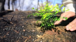 ZUM 뉴스 대전 변동오거리 외제 차 화재