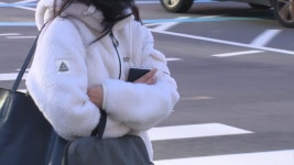 ZUM 뉴스 경기 포천 산란계 농장서 고병원성 AI 확진