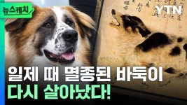 ZUM 뉴스 [날씨] 주말 곳곳 요란한 비…30℃ 안팎 낮더위 계속