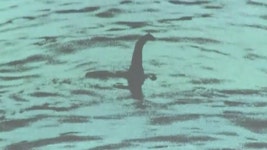 ZUM 뉴스 `네스호 괴물 `네시`를 찾아라`...51년 만의 대규모 수색
