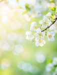 이미지포털 아이클릭아트 무제한 이미지소스 X 아이클릭아트