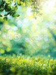 이미지포털 아이클릭아트 무제한 이미지소스 X 아이클릭아트