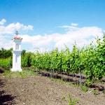 이미지포털 아이클릭아트 무제한 이미지소스 X 아이클릭아트