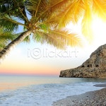 이미지포털 아이클릭아트 무제한 이미지소스 X 아이클릭아트