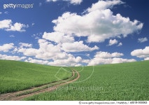 a0018-000063 | 게티이미지코리아 | Tracks through Field Royalty-Free 이미지