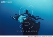 a0106-000527 | 게티이미지코리아 | Diver with Giant Manta Ray Royalty-Free 이미지