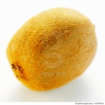 fdc900003 | 게티이미지코리아 | A Kiwi Fruit Royalty-Free 이미지