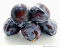 fdc900138 | 게티이미지코리아 | A Pile of Damson Plums Royalty-Free 이미지