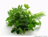 fdc900148 | 게티이미지코리아 | Parsley Royalty-Free 이미지