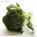 fdc900186 | 게티이미지코리아 | Broccoli Royalty-Free 이미지