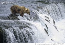 MDP_600027 | 게티이미지코리아 | Matthias Breiter Rights-Managed 이미지