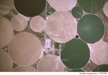 78372904 | 게티이미지코리아 | Farmland Royalty-Free 이미지